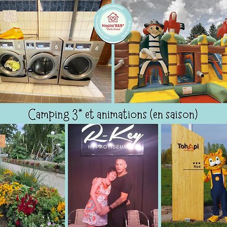 Chez Philippe Et Sylvie - 2 Bungalows Pour 5 Proche Europa-Park Boofzheim Bagian luar foto